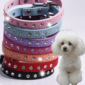 Rhinestone Collar For Teacup Puppies