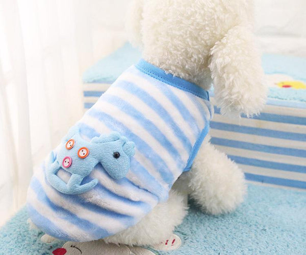 Winter Clothing for Teacup Puppy