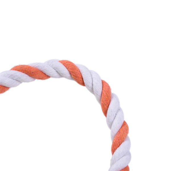 Interactive Plush Chew Toy