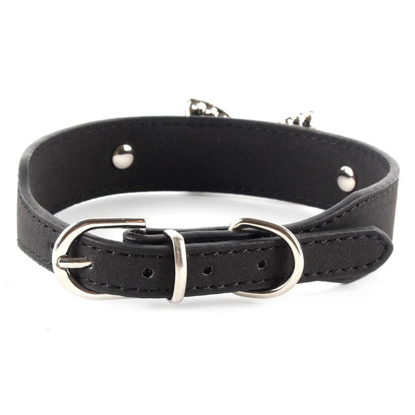 Personalized Collars with Buckle