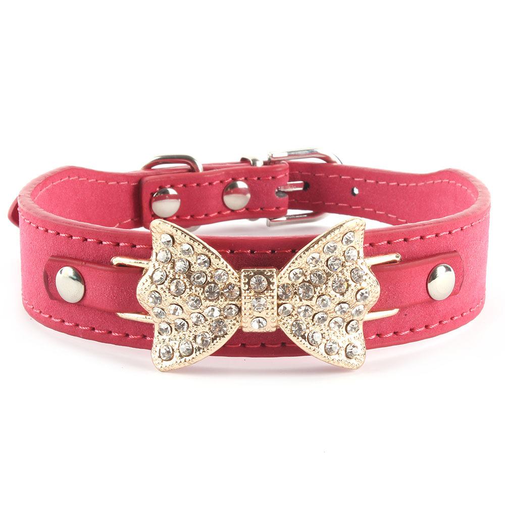 Personalized Collars with Buckle