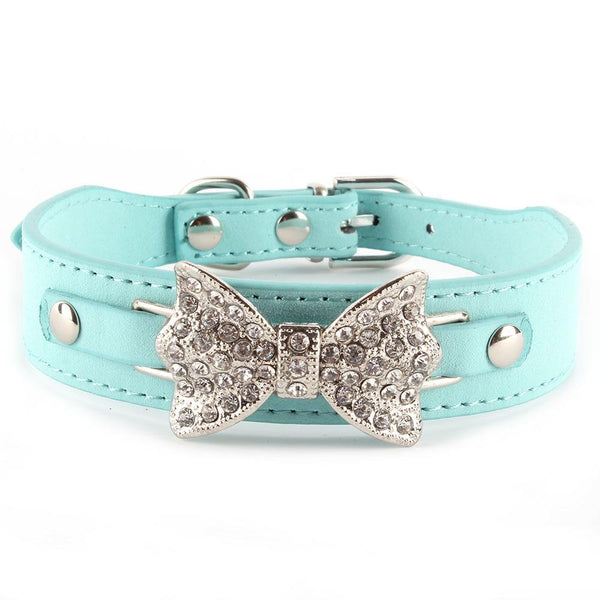 Personalized Collars with Buckle