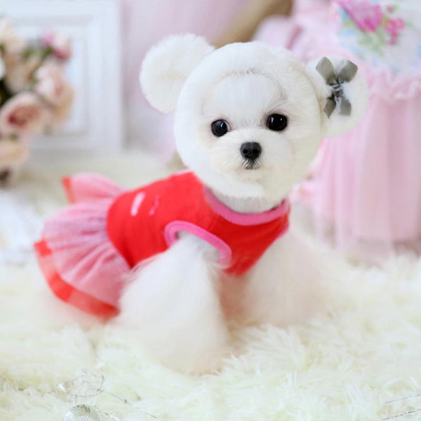 Cute Dog Dress Apparel