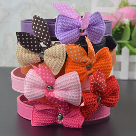 Fashioned Leather Collar with Butterfly Knot