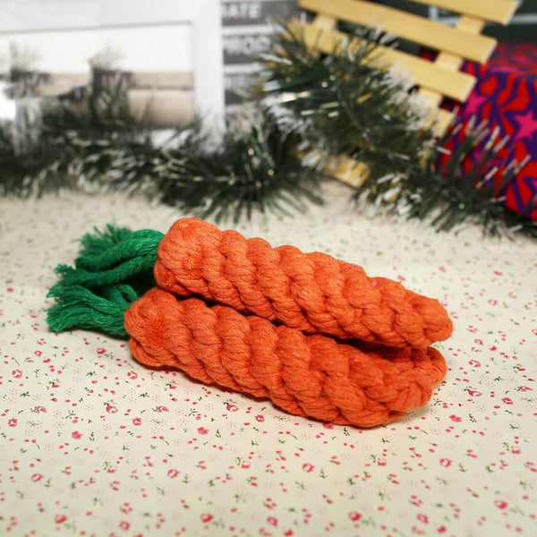 Carrot Chew Toy
