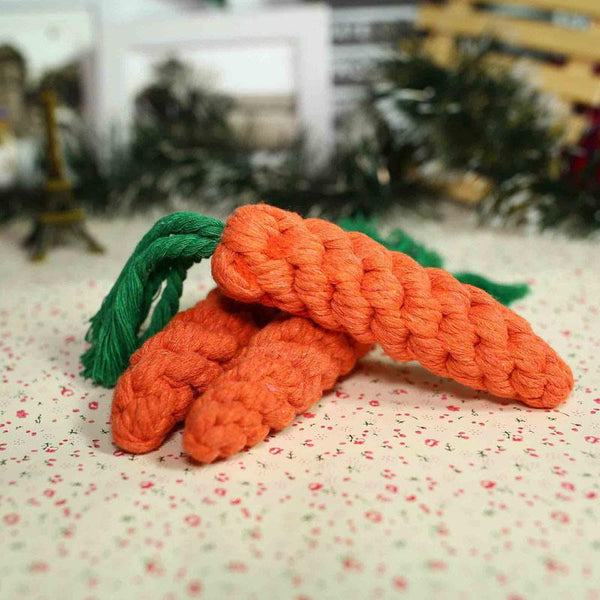 Carrot Chew Toy