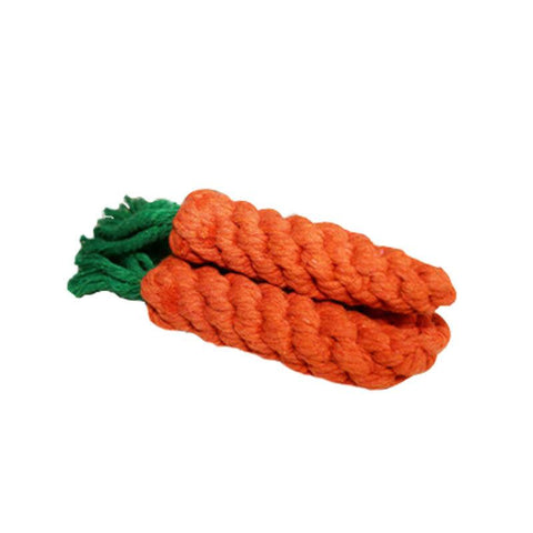 Carrot Chew Toy