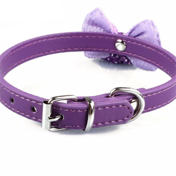 Adjustable Leather Collar