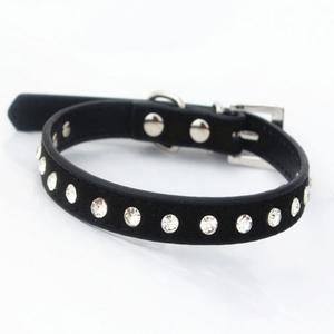 Rhinestone Collar For Teacup Puppies