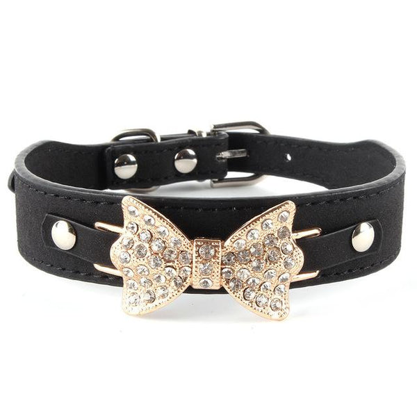 Personalized Collars with Buckle