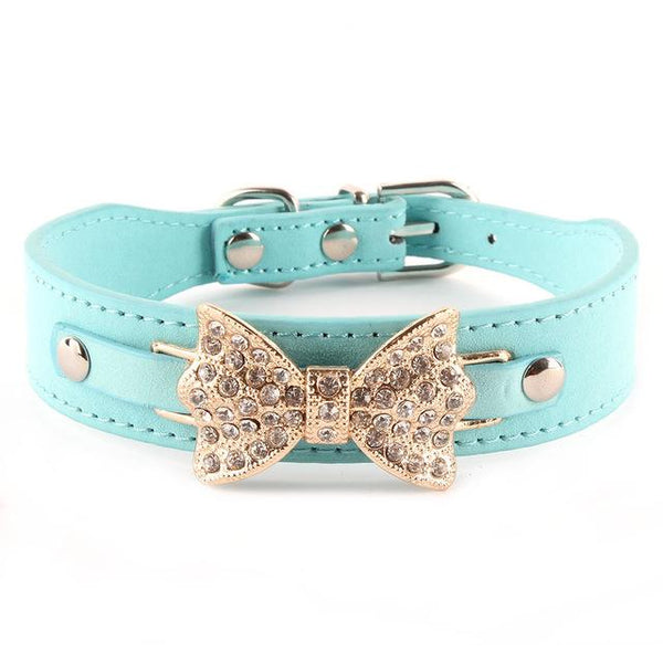 Personalized Collars with Buckle