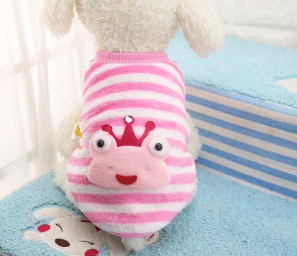 Winter Clothing for Teacup Puppy